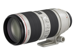 An L series lens, with image stabilization, an ultrasonic focusing motor.  This is the updated version, or version II of this lens.